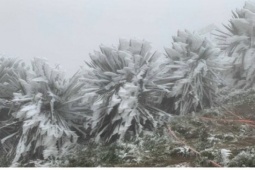 Không khí lạnh tăng cường, miền Bắc chuyển rét trong ngày đầu năm mới 2026