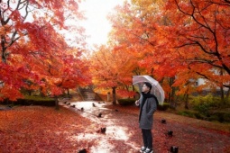 Blogger Phan Thế Anh 'choáng ngợp' trước cảnh đẹp như tranh ở Fukushima