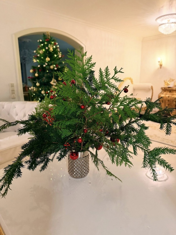 Mỹ Lệ quây quần đại gia đình trong biệt thự 1.400 m2 ở Đức - 7