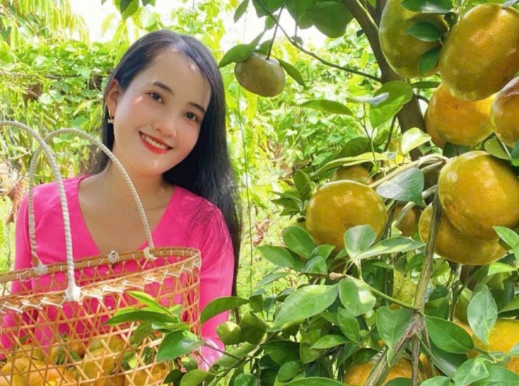 Du khách có thể tự tay hái quýt hồng, trải nghiệm không khí miệt vườn. Ảnh: T.X