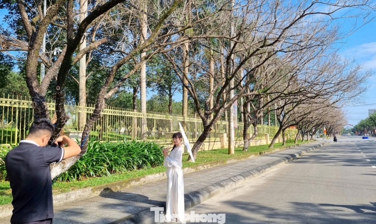 Nhiều bạn trẻ ví von khung cảnh đẹp tựa như trong phim, như lạc vào con đường nào đó ở châu Âu.