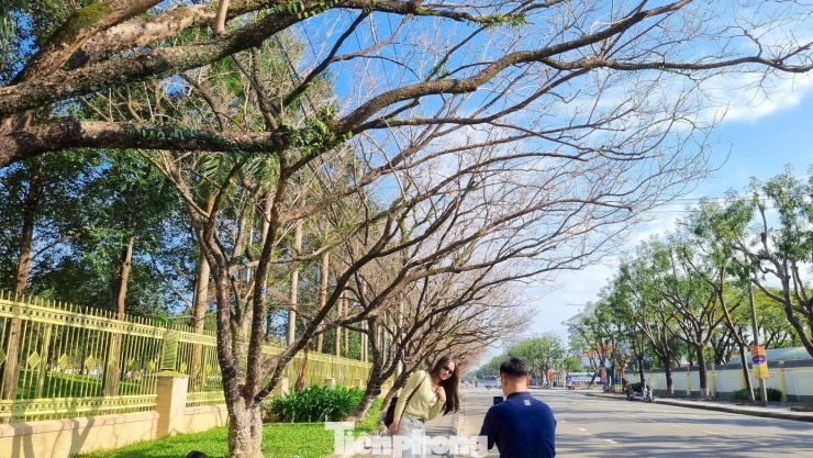 Các cặp đôi lưu lại kỷ niệm cùng khung cảnh đầy lãng mạn.