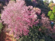 Hà Giang kẹt cứng, Đà Lạt thông thoáng ngày đầu tiên nghỉ lễ