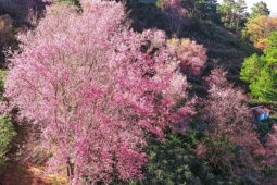 Hà Giang kẹt cứng, Đà Lạt thông thoáng ngày đầu tiên nghỉ lễ