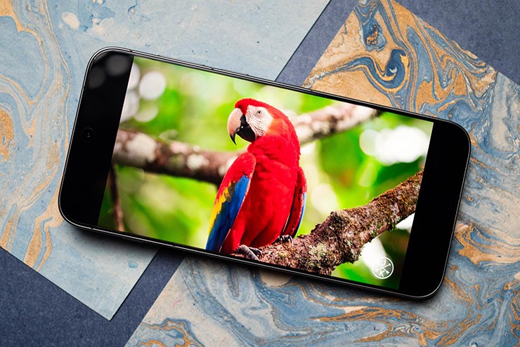 Ppin trâu sẽ tiếp tục là điểm nhấn của smartphone Trung Quốc trong năm 2026.