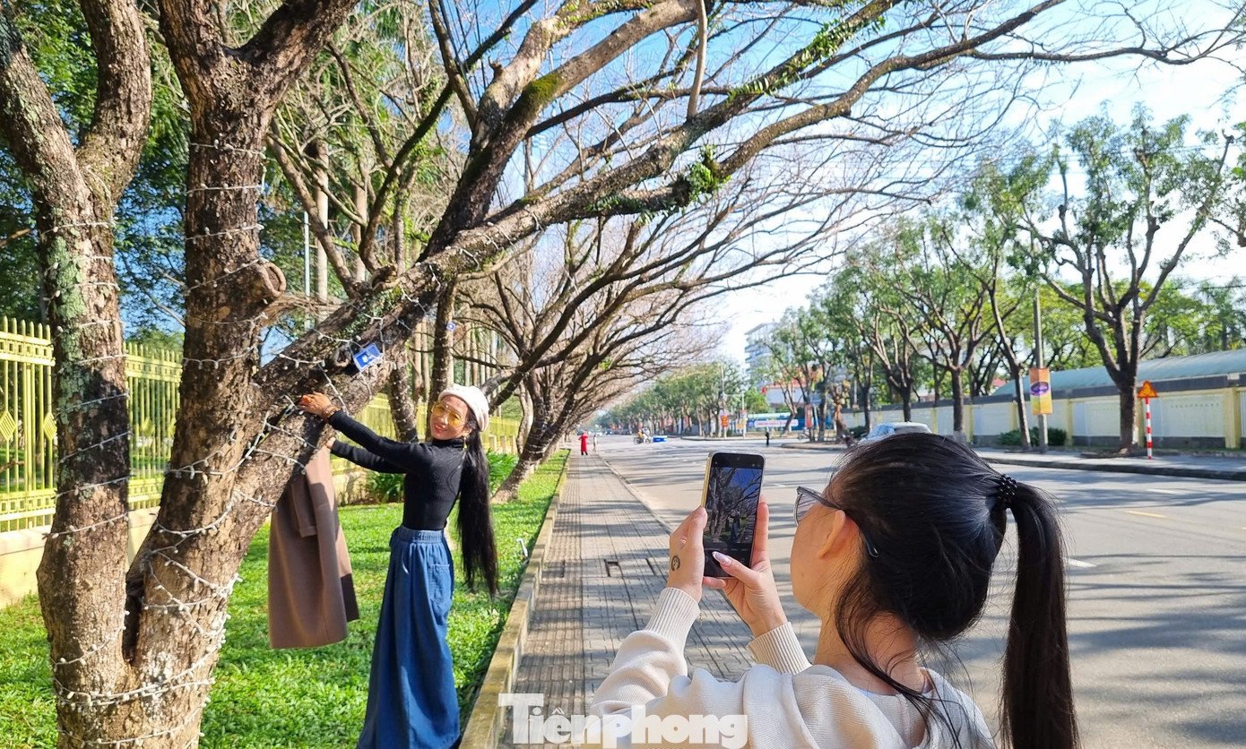 Thời tiết nắng ấm, hình ảnh hàng sưa già vào mùa thay lá, trơ cành, ngả ra phía đường xen lẫn bóng nắng tạo ra vẻ đẹp lạ kỳ khiến bạn trẻ mê mẩn.