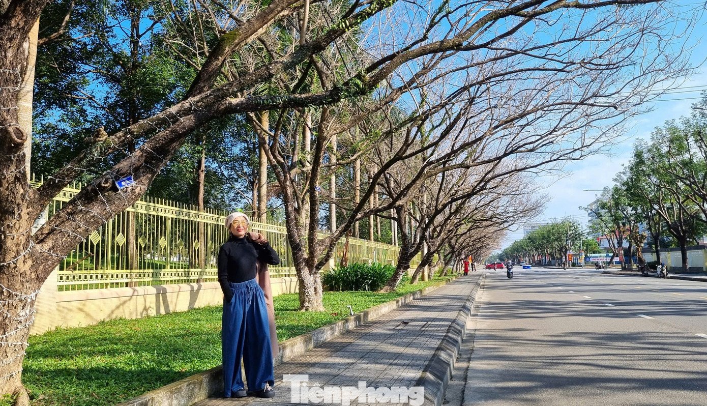 Cung đường bất ngờ trở thành điểm dừng chân, check-in yêu thích của bạn trẻ.