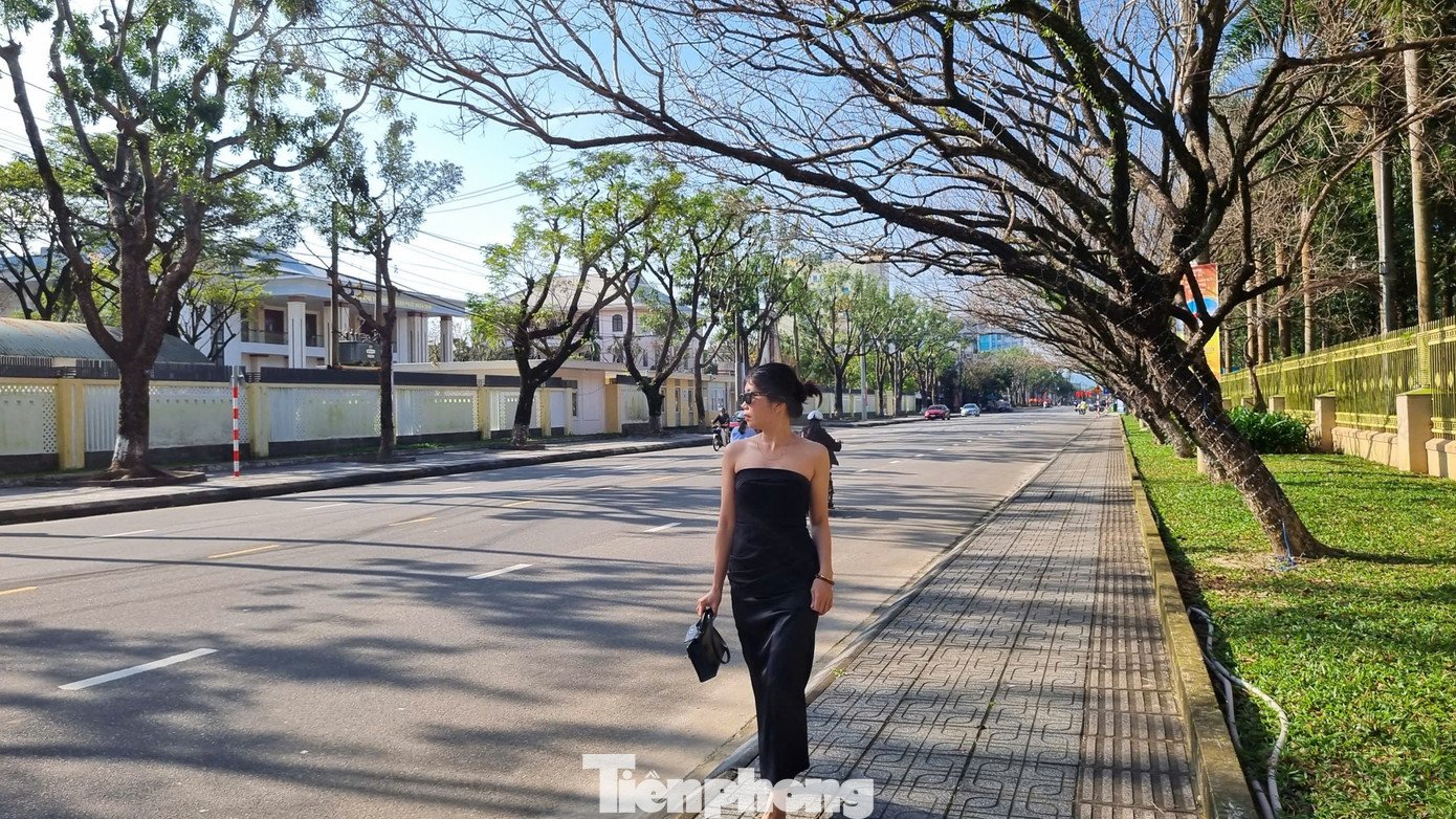 Thời tiết nắng ấm, hình ảnh hàng sưa già vào mùa thay lá, trơ cành, ngả ra phía đường xen lẫn bóng nắng tạo ra vẻ đẹp lạ kỳ khiến bạn trẻ mê mẩn.