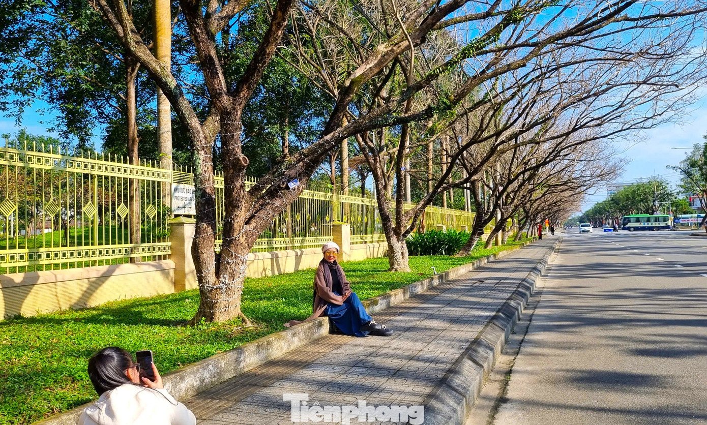 Khung cảnh đầy chất điện ảnh khiến nhiều bạn trẻ thích mê, xúng xính check-in.