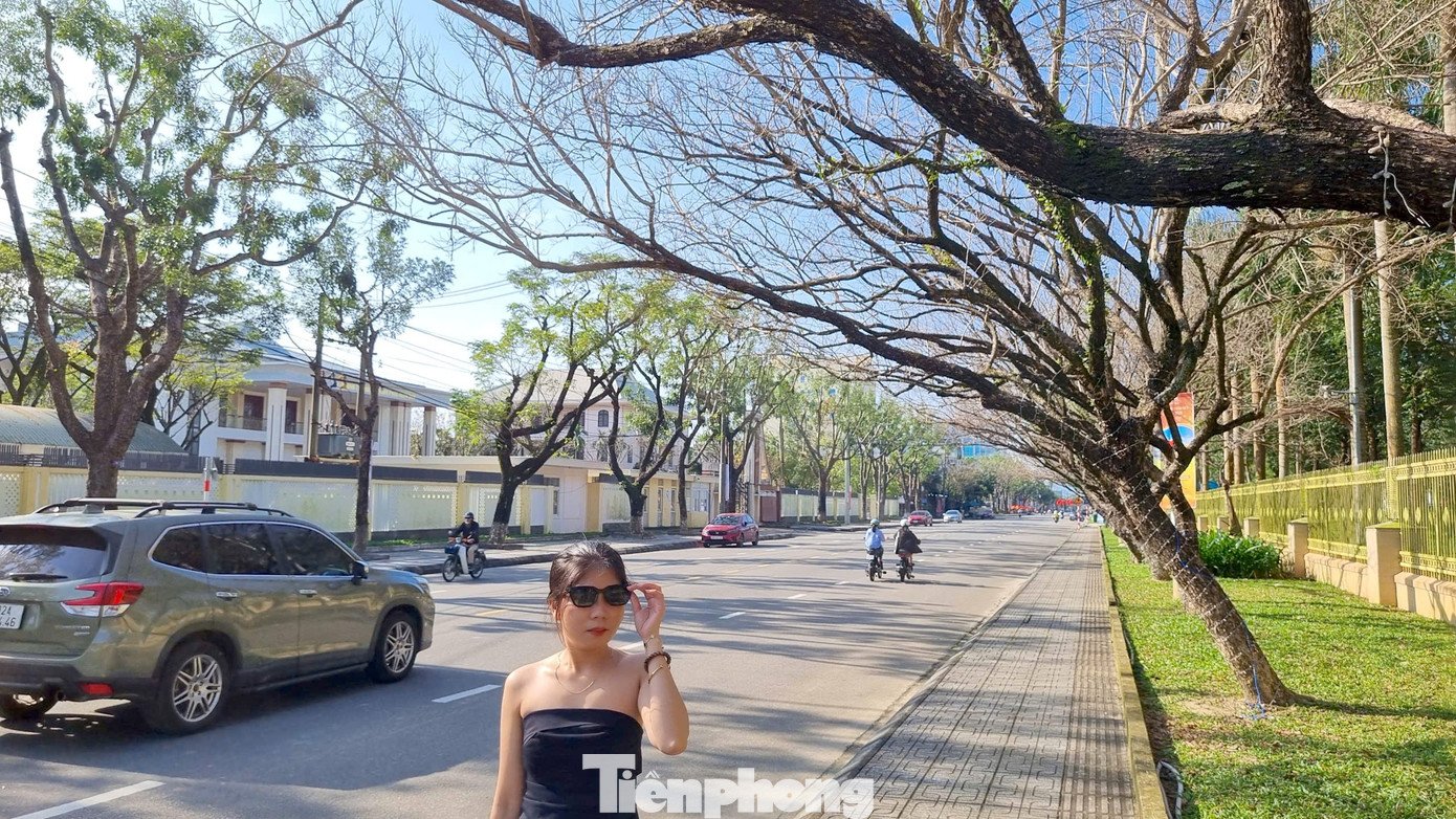 Khung cảnh đầy chất điện ảnh khiến nhiều bạn trẻ thích mê, xúng xính check-in.