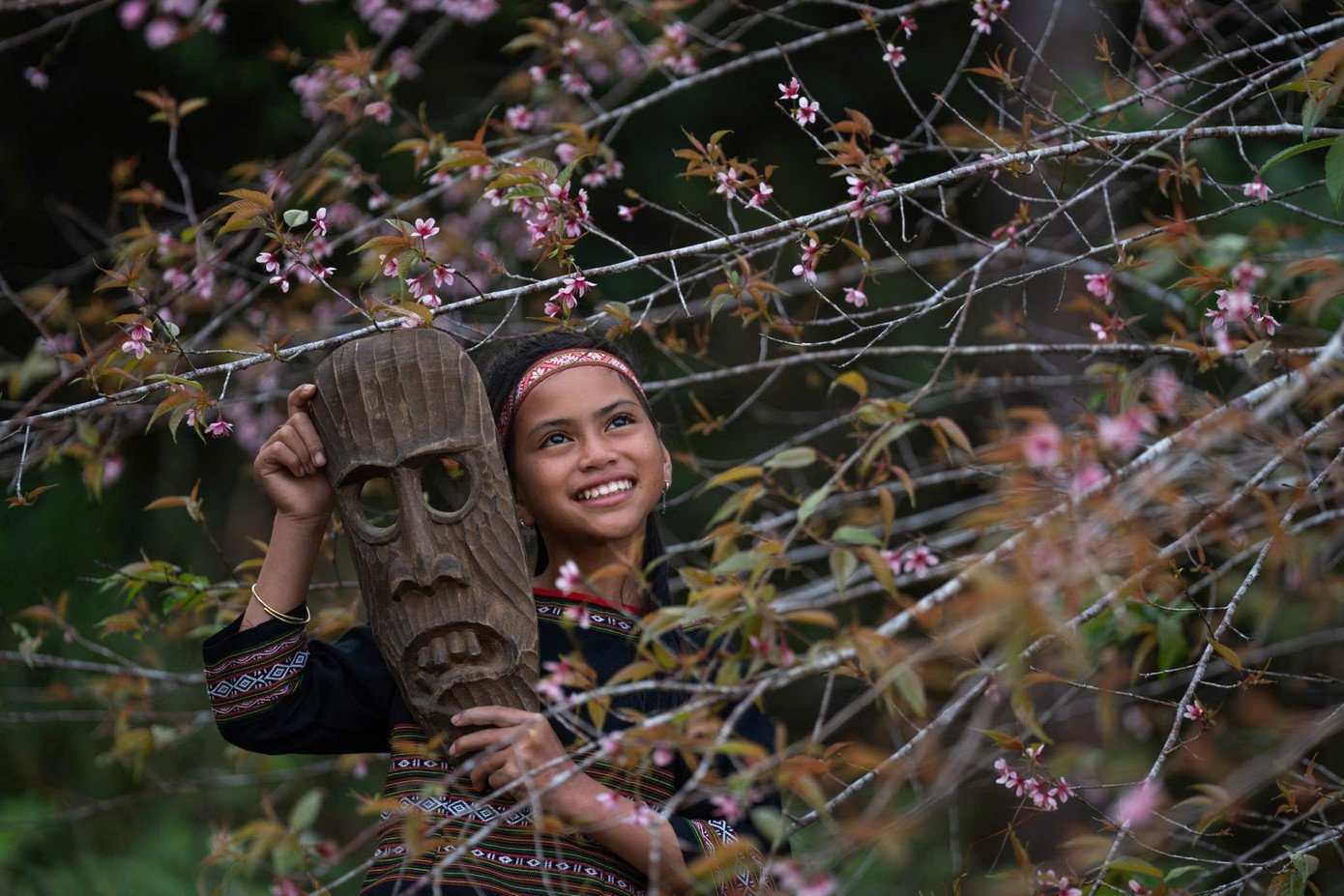 Hoa anh đào bắt đầu nở rộ khoảng một tuần qua và đang bước vào thời điểm đẹp nhất.