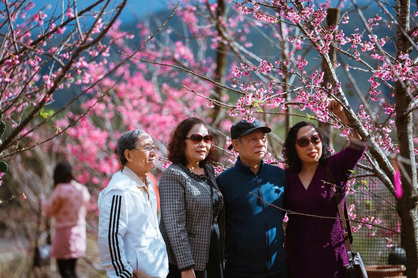 Du khách ghi lại kỷ niệm với hoa anh đào.