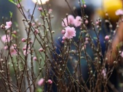 Lập xuân 2026 là ngày nào?