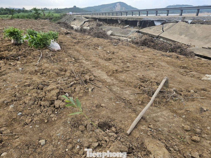 Bên trong, những mảng bê tông lớn vỡ vụn nằm chồng chất, xung quanh là cuốc, xẻng, bao keo giống còn dang dở – dấu tích của buổi lao động định mệnh. Gần đó, những tấm chiếu và vài bông hoa trắng được đặt lặng lẽ.