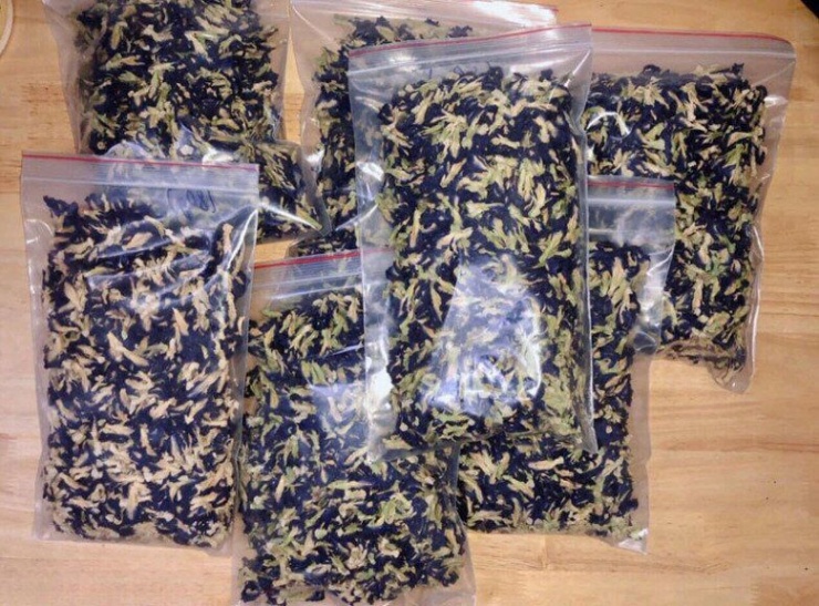 Nghề lạ ở Việt Nam: Cây dại mọc bờ rào dân trồng chỉ 3 tháng thu hoạch, hái hoa bán quanh năm, thành đặc sản nổi tiếng - 2