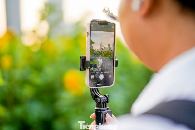 Hình ảnh dễ bắt gặp nhất là người dân giơ điện thoại lên ghi lại khoảnh khắc của mình giữa sắc vàng rực rỡ.