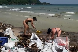 Hai bãi biển đẹp nhất Phú Quốc ngập trong lục bình, rác