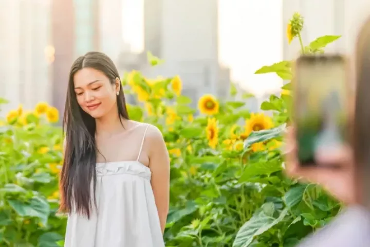 Mãn nhãn vườn hướng dương nghìn bông khoe sắc bên bờ sông Sài Gòn