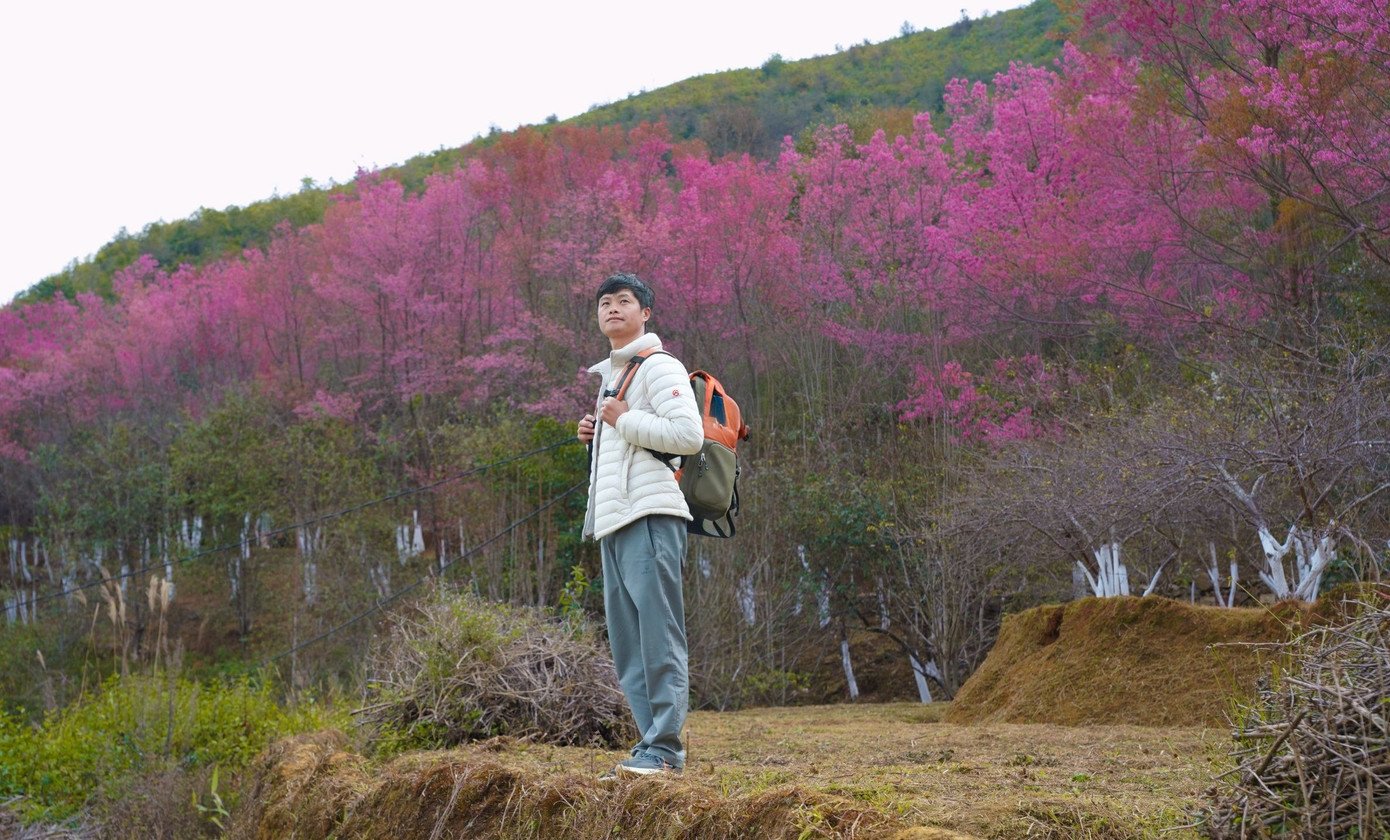 Hoa tớ dày bung nở rực rỡ khắp các triền đồi. Ảnh: Hờ A Rùa.