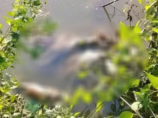 Thi thể nữ sinh K. được phát hiện dưới vuông tôm với vết thương ở vùng cổ vào sáng 2-1