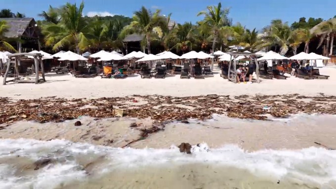 Bãi Sao sáng 2/1. Ảnh: NVCC