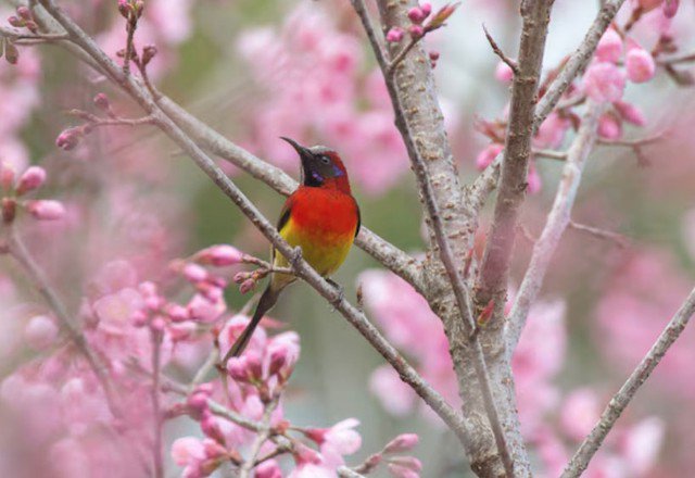 Về tài vận, người có ngày sinh Âm lịch kết thúc bằng số 6 thường không giàu nhanh, nhưng tiền bạc đến đều đặn và ổn định. Ảnh minh họa