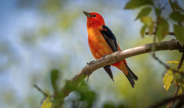 Tài vận của người có số cuối ngày sinh là 1 thường đến chậm nhưng chắc, càng về trung niên càng vững vàng, của cải tích lũy bền bỉ theo thời gian. Ảnh minh họa