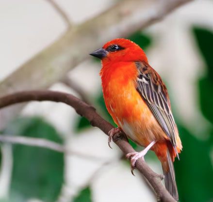 Càng kiên trì theo đuổi đam mê, người có ngày sinh Âm lịch kết thúc bằng số 3 càng dễ tạo ra bước ngoặt lớn, đạt được sự giàu có bằng chính trí tuệ của mình. Ảnh minh họa