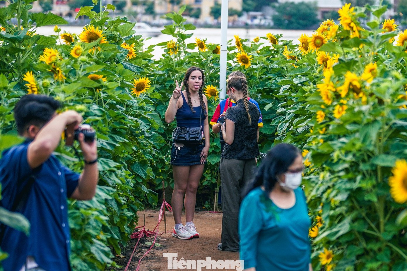 Vườn hoa thu hút rất nhiều du khách đến tham quan, chụp ảnh, hít thở sự bình yên bên dòng sông Sài Gòn.