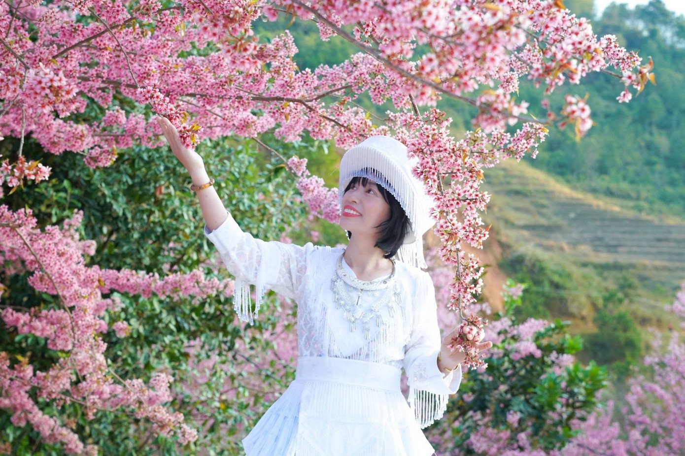 Hoa tớ dày bung nở rực rỡ khắp các triền đồi. Ảnh: Hờ A Rùa.