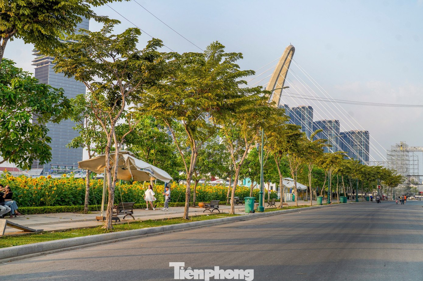 Theo ghi nhận của PV, khu vực bờ sông thuộc phường Thủ Thiêm những năm gần đây được chỉnh trang, bổ sung thêm các không gian xanh, trở thành điểm sinh hoạt cộng đồng quen thuộc. Việc hình thành các vườn hoa theo mùa không chỉ góp phần cải thiện cảnh quan đô thị mà còn mang lại những “khoảng thở” cần thiết cho người dân giữa nhịp sống nhanh của TPHCM.