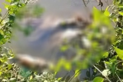 Bắt giữ nghi phạm sát hại nữ sinh cấp 2 ở Cà Mau