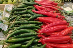 Xuất khẩu ớt kỷ lục đạt hơn 2.600 tỷ đồng