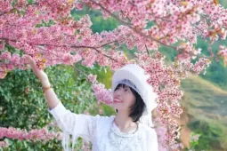 Đổ xô du lịch Sa Pa, Mù Cang Chải