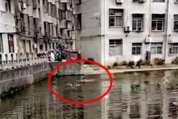 Chàng trai lao xuống ao nước sâu giữa trời lạnh, cứu sống bé trai 4 tuổi