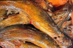 Loại cá từng bị 'ghẻ lạnh', chê bẩn nay thành đặc sản 'sâm nước'