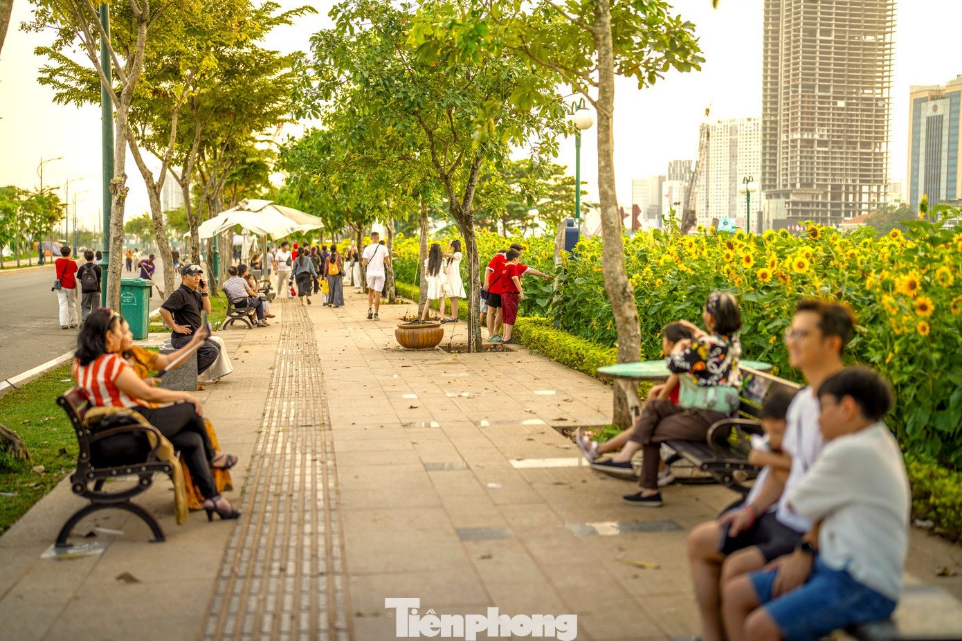 Từ sáng sớm đến chiều muộn, nhiều gia đình, bạn trẻ, du khách nước ngoài tìm đến vườn hoa để dạo chơi, chụp ảnh, tận hưởng không khí trong lành bên sông.