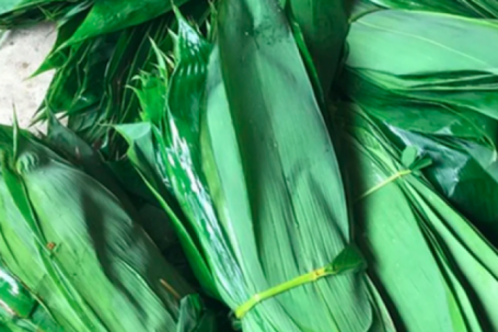 Những loại lá "độc lạ" ở Việt Nam xuất khẩu thu về triệu USD