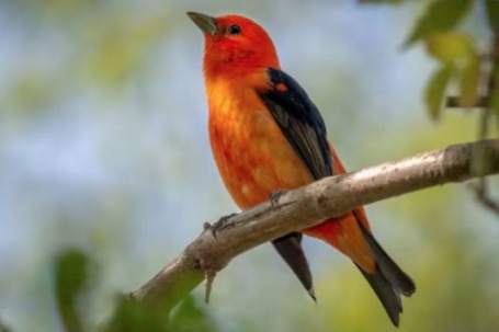 Bí mật số cuối ngày sinh Âm lịch: 4 con số được cho là hút tài lộc mạnh nhất