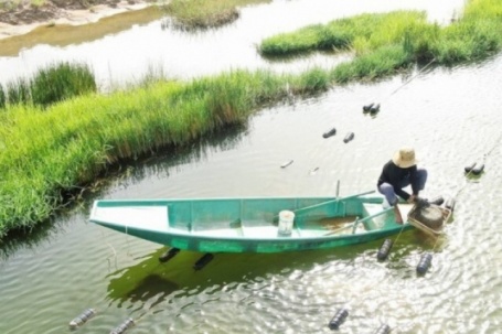 Nghề lạ ở Việt Nam: Nông dân đổi đời vươn lên làm giàu nhờ nuôi lộc trời "đắt đỏ", chị em phụ nữ thích mê