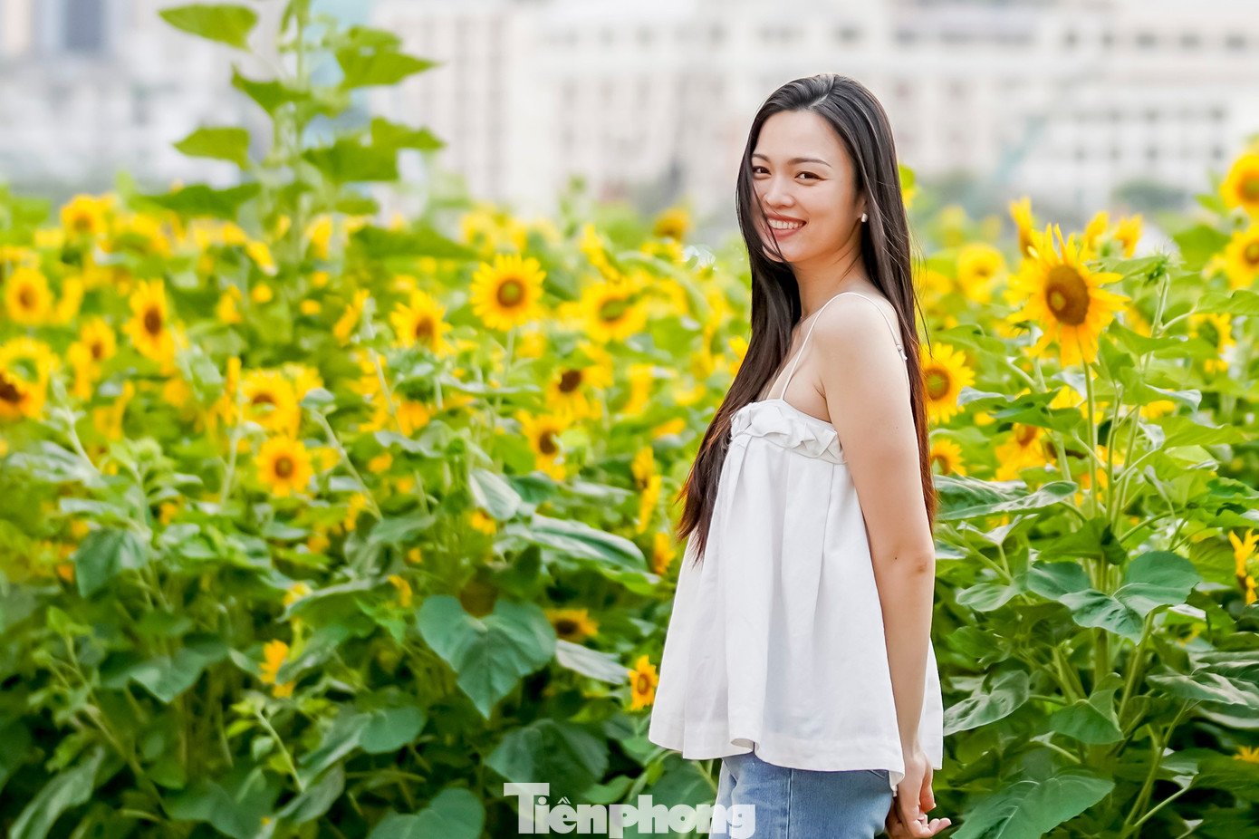 Không ít người tranh thủ ghi lại những khoảnh khắc đầu năm với sắc vàng của hướng dương - loài hoa thường được xem là biểu tượng của niềm tin, sự lạc quan và hướng tới tương lai.