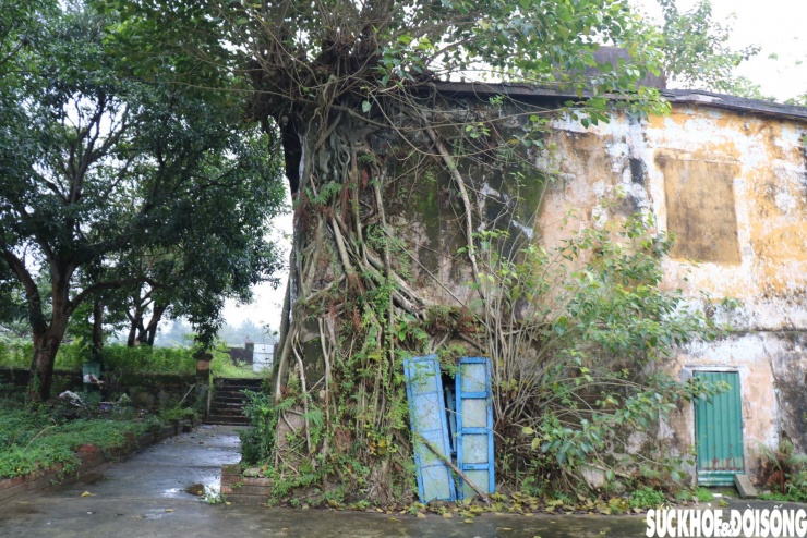 Đến thời vua Minh Mạng, công trình liên tục được gia cố và đến năm 1834, triều đình chính thức đổi tên Trấn Hải Đài thành Trấn Hải Thành, nâng tầm quy mô và hoàn thiện chức năng phòng thủ.