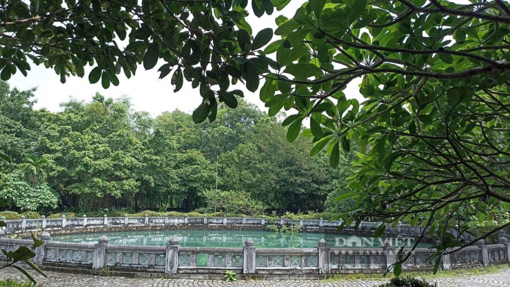 Màu nước ở dưới giếng luôn có màu xanh ngọc bích tuyệt đẹp.