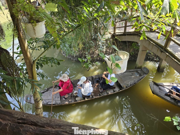 Bơi xuồng len lỏi giữa không gian xanh, mát lành.