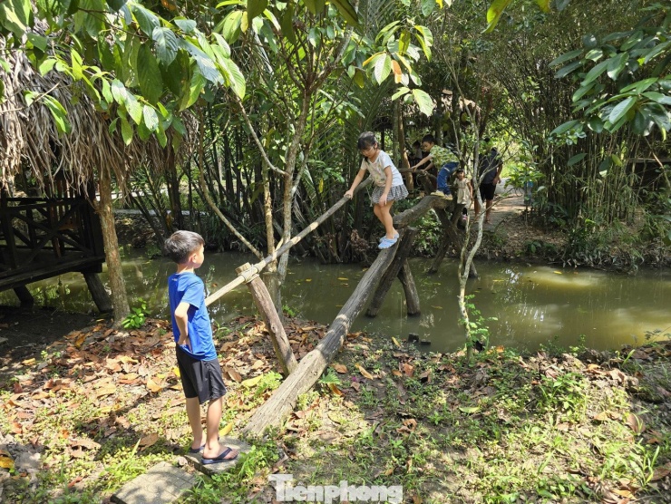 Trẻ em trải nghiệm đi qua cầu khỉ.