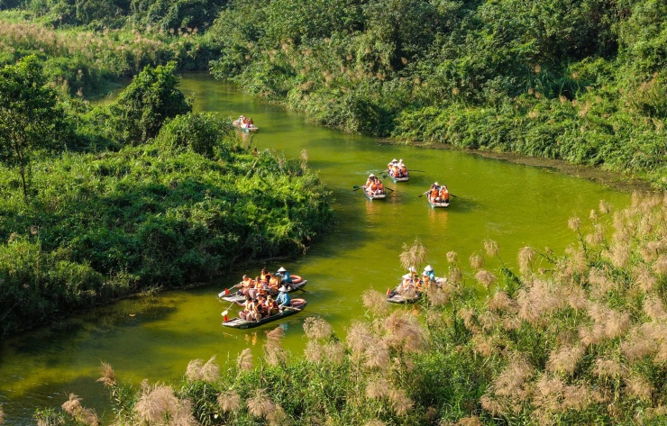 Du khách đi thuyền tham quan Tràng An giữa những cánh đồng bạt ngàn lau trắng. Ảnh: Ngọc Linh