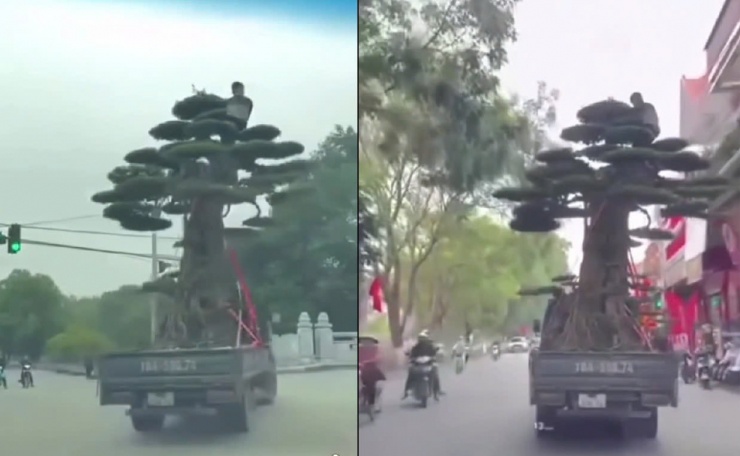 Xe tải chở cây vượt quá chiều cao cho phép, chở người trái quy định trên thùng xe. Ảnh: Cắt từ clip&nbsp;
