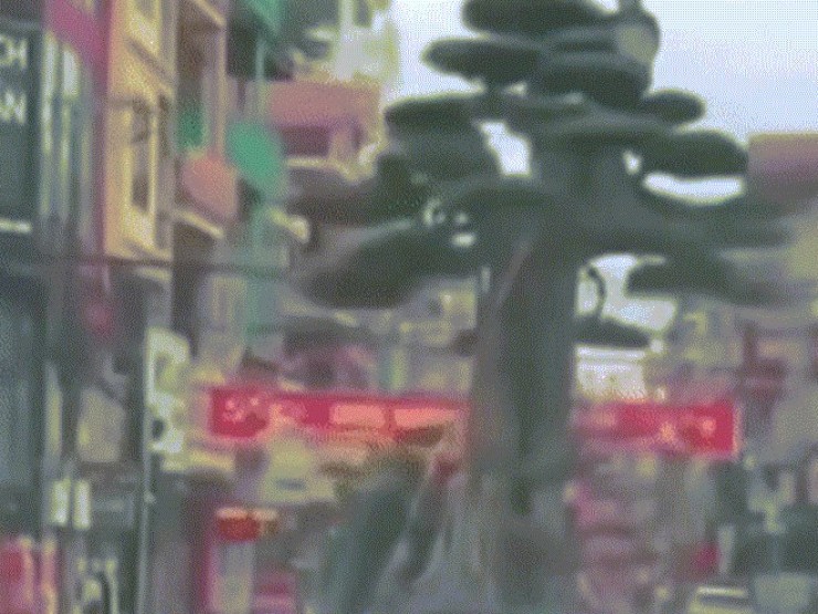 Cảnh sát xác định danh tính tài xế chở người và cây 'khủng' ở Ninh Bình