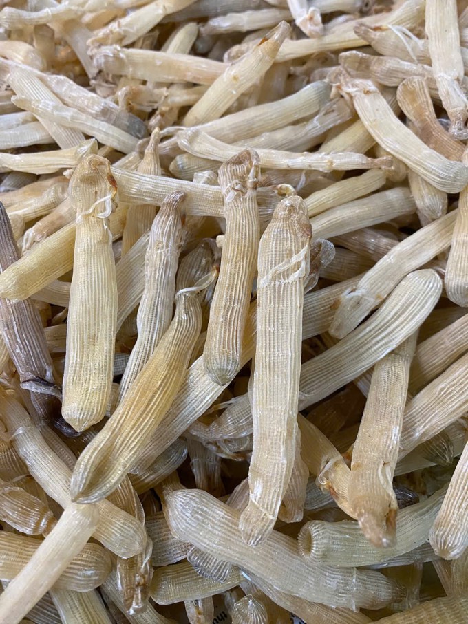 Sá sùng sau khi làm sạch, phơi khô sẽ được đem nướng trên than hoặc đảo nhanh trên chảo nóng cho chín vàng, giòn và có mùi thơm đặc trưng. Ảnh: Thảo Nhi