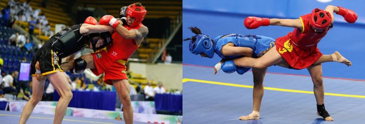 Sanda hiện đã phổ biến ở nhiều nước trên thế giới